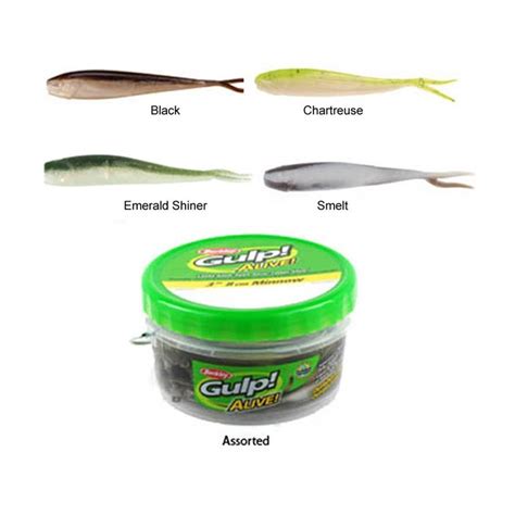 Lure Berkley Gulp Alive Minnow 6cm Pot Of 40