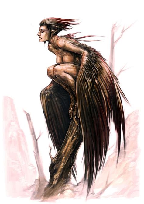 Harpy By 0 Duredhel 0 On DeviantArt Mythological Creatures Mythical