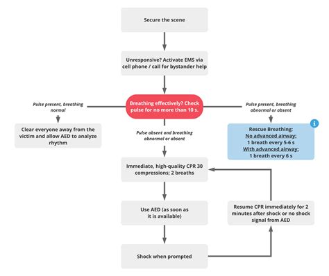 Bls Algorithm Basic Life Support Guidelines