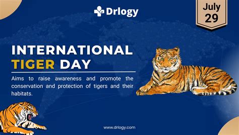 Top Day Celebrate in International Tiger Day 2024 Tags - Drlogy