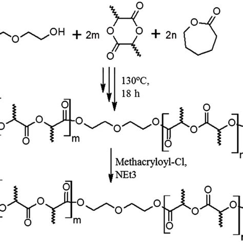 Reaction Scheme Showing The Ring Opening Polymerization ROP And The