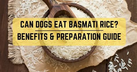 Can Dogs Eat Basmati Rice? Benefits & Preparation Guide | Pet Friendly ...