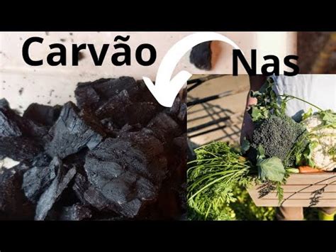 COMO fazer um condicionador de SOLO o CARVÃO vegetal plantas