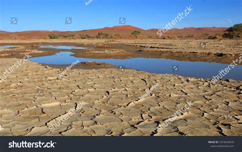 21,465 Oasis on river Images, Stock Photos & Vectors | Shutterstock