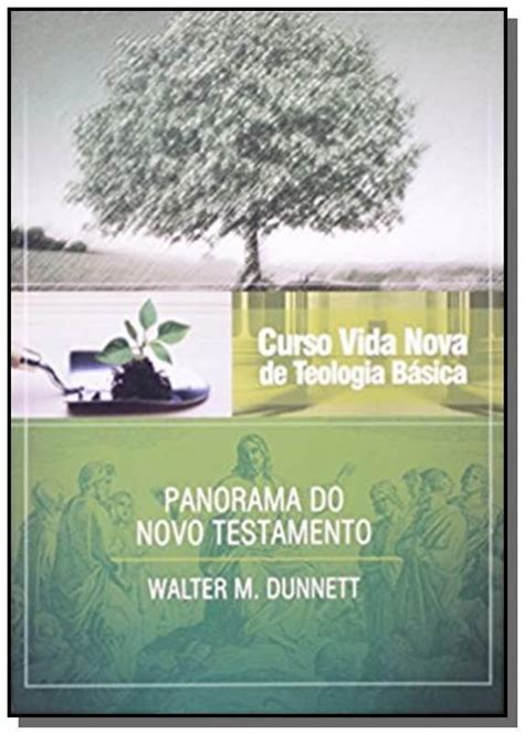 Curso Vida Nova De Teologia Basica Panorama Do No Livros De Teologia