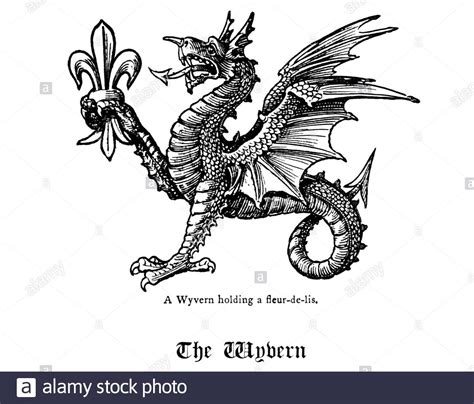 Wyvern holding a fleur-de-lis, vintage illustration from 1900 Stock ...