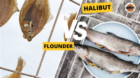 Halibut Vs Flounder 2023 Everything You Need To Know