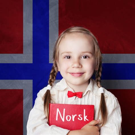 Norwegian Translation Services For Your Business Lingperfect