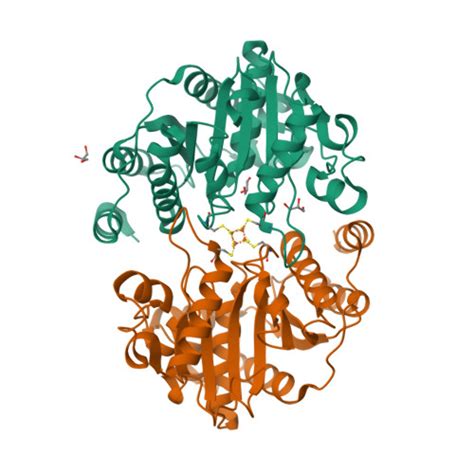 Rcsb Pdb Q T Nitrogenase Fe Protein From Methanothermococcus