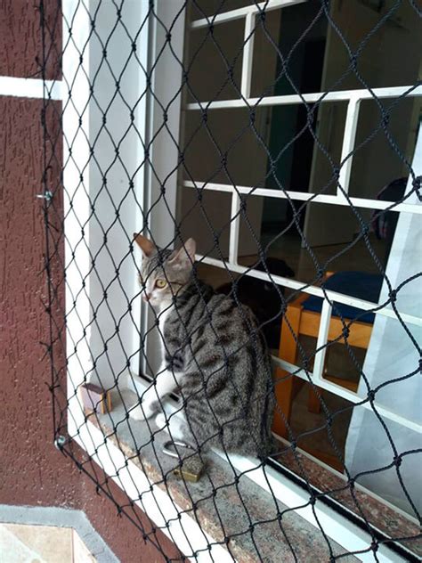 Redes de Proteção para Gatos Curitiba RedTela Segura Gatinho