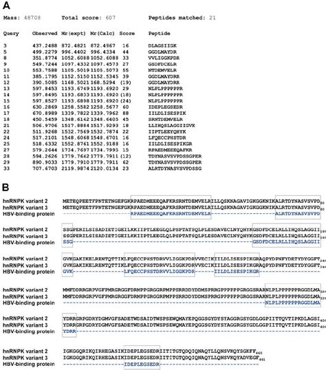 Identification Of Host Cellular Protein As HnRNP K A Specific Protein