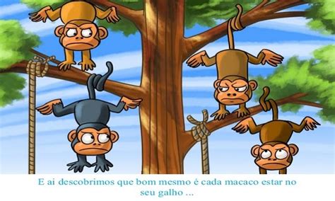 Cada Macaco No Seu Galho - Files Educação: O REINO DOS MACACOS