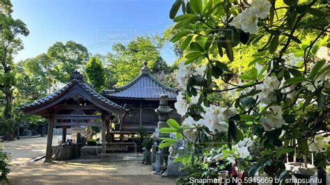 愛媛 四国八十八ヶ所 第58番 仙遊寺 境内の風景の写真・画像素材 5945669 Snapmart（スナップマート）