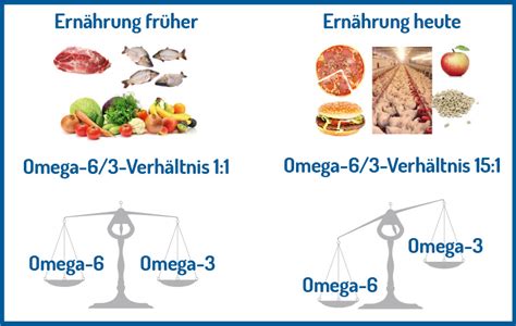 Paket Omega Check Xundigo Ern Hrungsberatung Andrea Fr Hwald