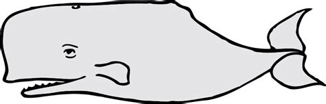 Whale outline cliparts png – Clipartix