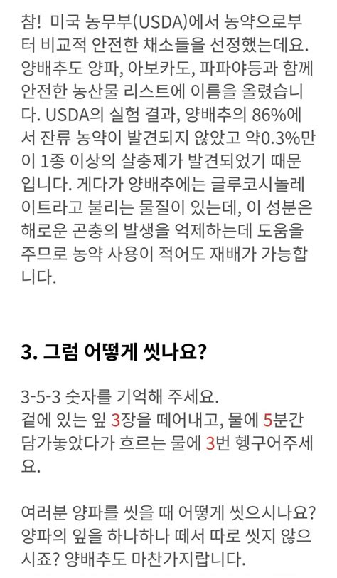 Astrd On Twitter 양배추 하도 지랄맞게 씻어대는거 귀찮아서 찾아보니 양인들 겉잎 몇 장 떼고 통째로 씻네