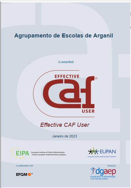 Agrupamento De Escolas De Arganil Distinguido O Selo Effective Caf