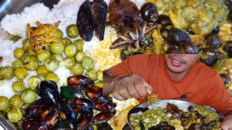 Chakma Traditional Food Boil Curry Vs Many Kinds Of River Insects