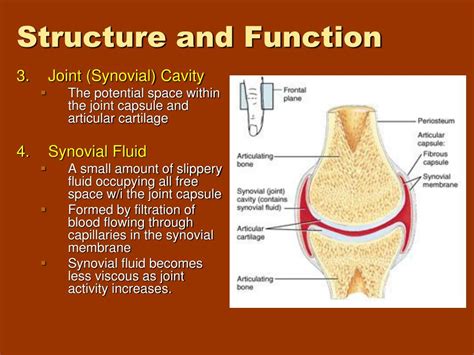 Ppt Joints Powerpoint Presentation Free Download Id3772670