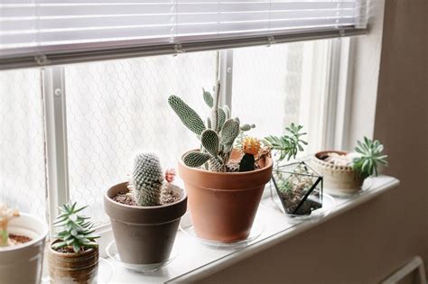 Such A Pretty Windowsill Ledge Decor Window Sill Decor Window Ledge