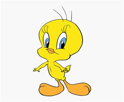 How To Draw Tweety Bird Tweety Bird Hd Png Download Kindpng