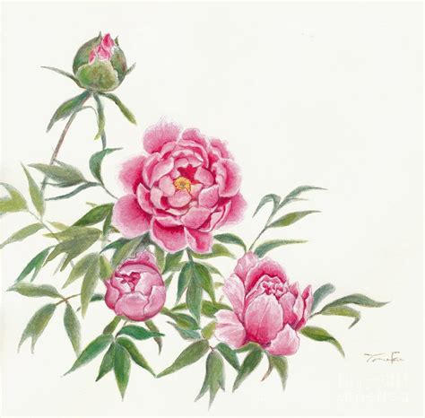 Japanese Peony Painting