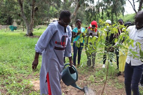 Journ E Nationale De L Arbre Le Cnrf Organise Sa Premi Re Dition