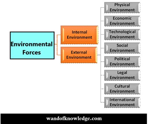 Environmental Forces Affecting Entrepreneurship