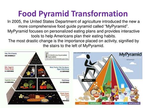 United States Food Pyramid