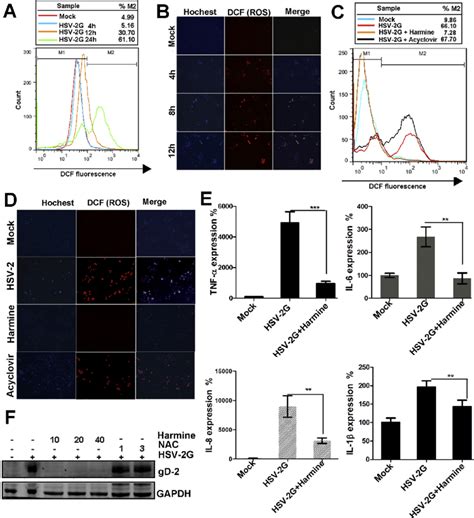 The Anti HSV 2 Activity Of Harmine And Its Antioxidant Activity A And