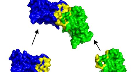 World Of Biochemistry Blog About Biochemistry Noncovalent