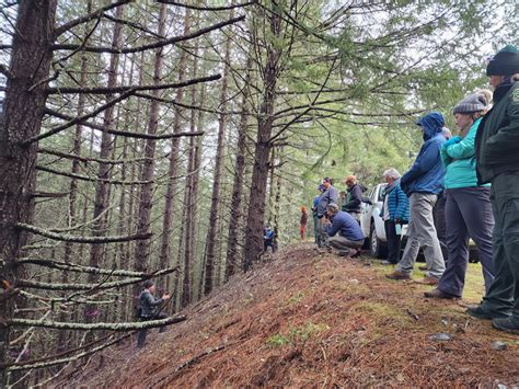 Community Tour Of Upper Applegate Watershed Restoration Project