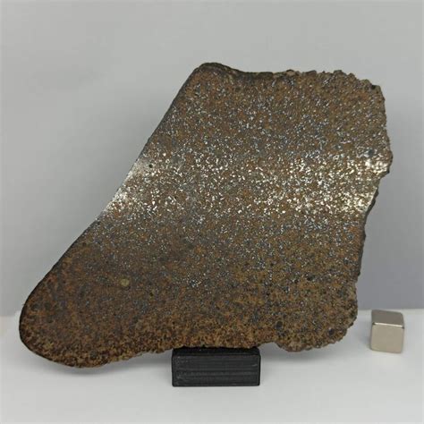 Xl Meteorite Slice Sahara Chondrite H With Iron Catawiki