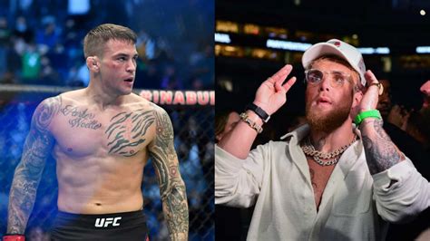 “you Want The Ankle Snapped Off Or Do You Wanna Do It” Jake Paul And Dustin Poirier Trolls