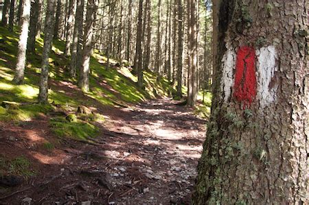 How To Read Hiking Trail Blazes Ready Go Hike