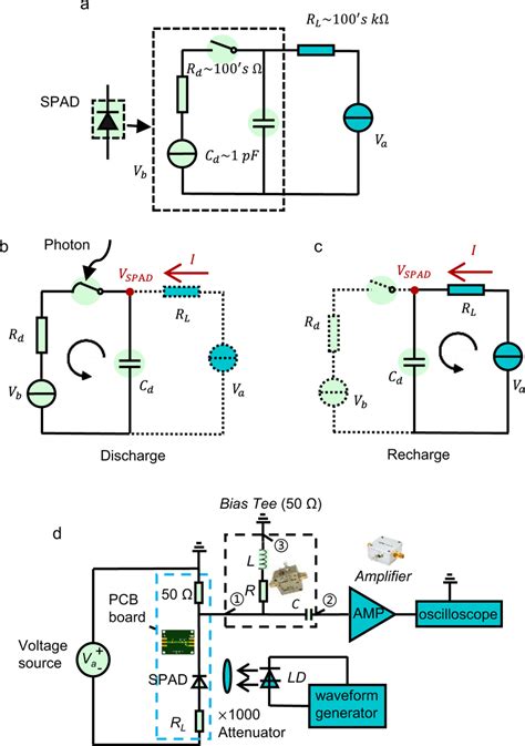 Circuit Model For Passive Quenching Of The Single Photon Avalanche