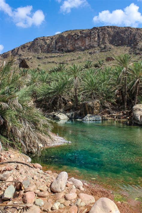 10 Days In Socotra The Most Alien Looking Place On Earth Socotra