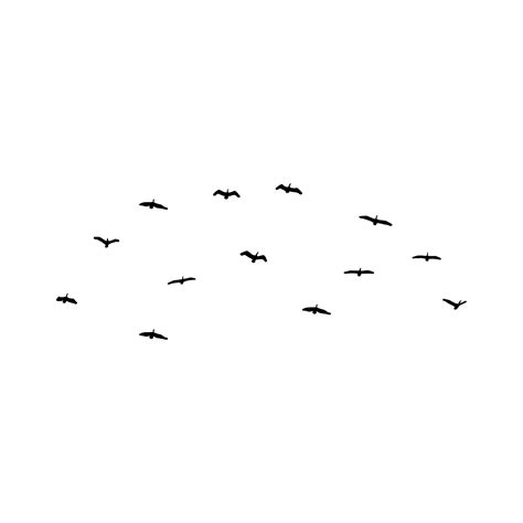 Black Flying Birds Vector Illustration, Flying Birds, Bird Vector ...