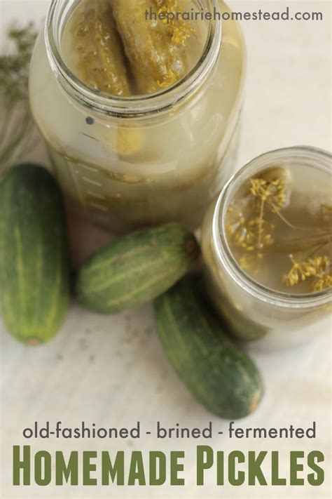 Homemade Fermented Pickle Recipe Artofit