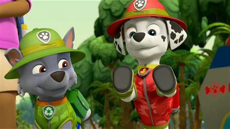 Marshall Gallery Pups Save The Pawpaws Paw Patrol Wiki Fandom