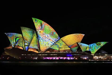 Sydney Opera House Night Vivid Light Festival Stock Image Everypixel