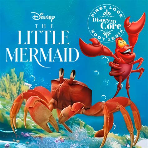 Little Mermaid 2023 Sebastian And Flounder at Eileen Porras blog