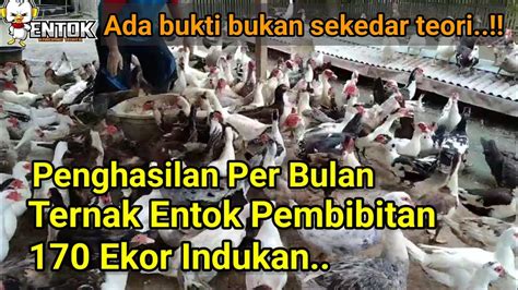 Jumlah Penghasilan Usaha Ternak Entok Pembibitan Dengan Ekor