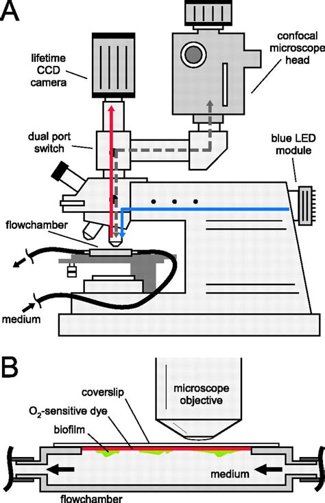 A Schematic Drawing Of The Experimental Setup For Using Coverslip