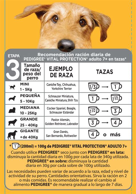 Pedigree Senior 21 Kg Alimento Y Accesorios Para Mascota