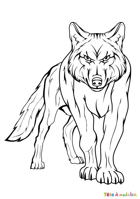 Coloriage Loup Animaux Album De Coloriages The Best Porn Website