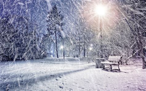 Wallpaper Winter, snow, park, trees, lights, night 3840x2160 UHD 4K ...