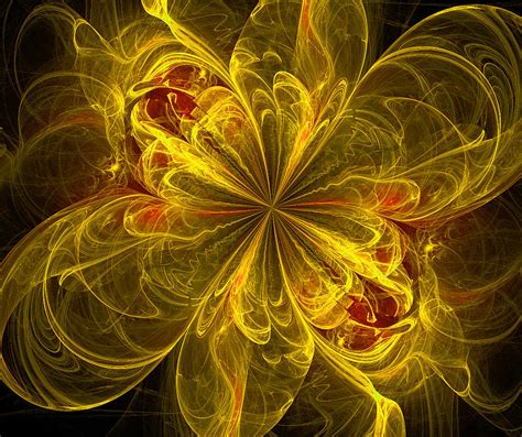 Explosion Of A Flower Digital Art By Katie Tkachuk