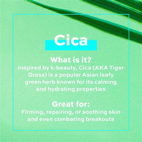 Revolution Skincare Cica Multi Use Balm Quadis Foodies And Goodies