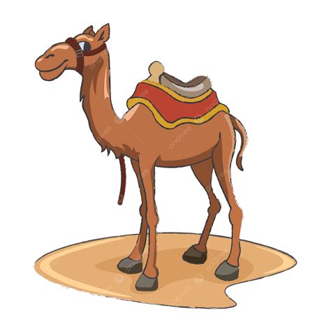 Cartoon Camel With Saddlery Vector Illustration Cartoon Camels